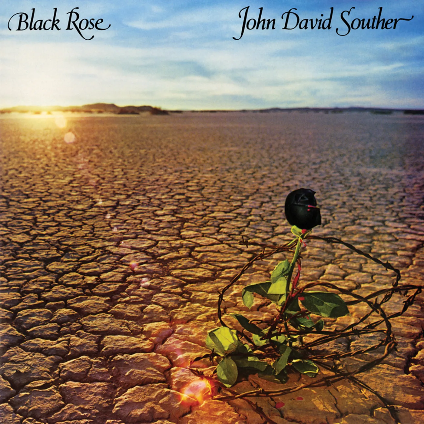 J.D. Souther BLACK ROSE CD
