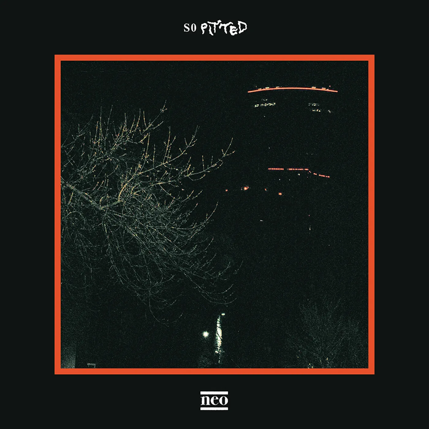 So Pitted neo Vinyl Record