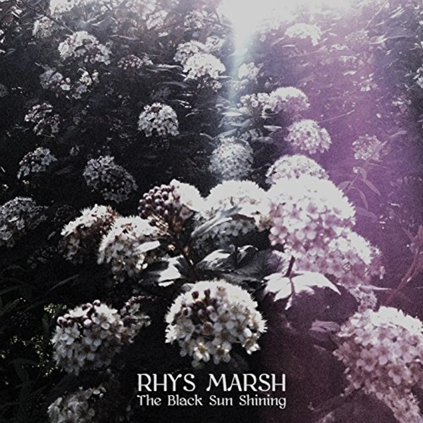 Rhys Marsh BLACK SUN SHINING CD