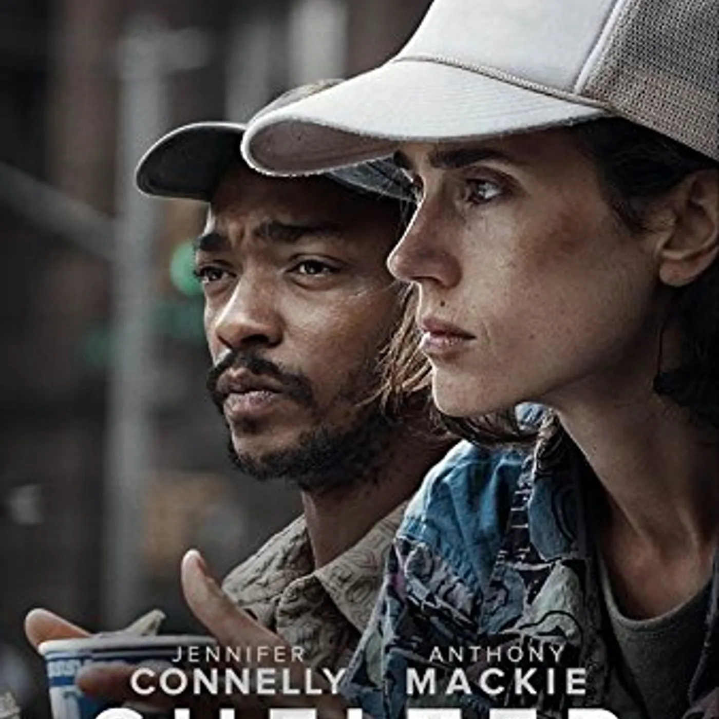 SHELTER DVD