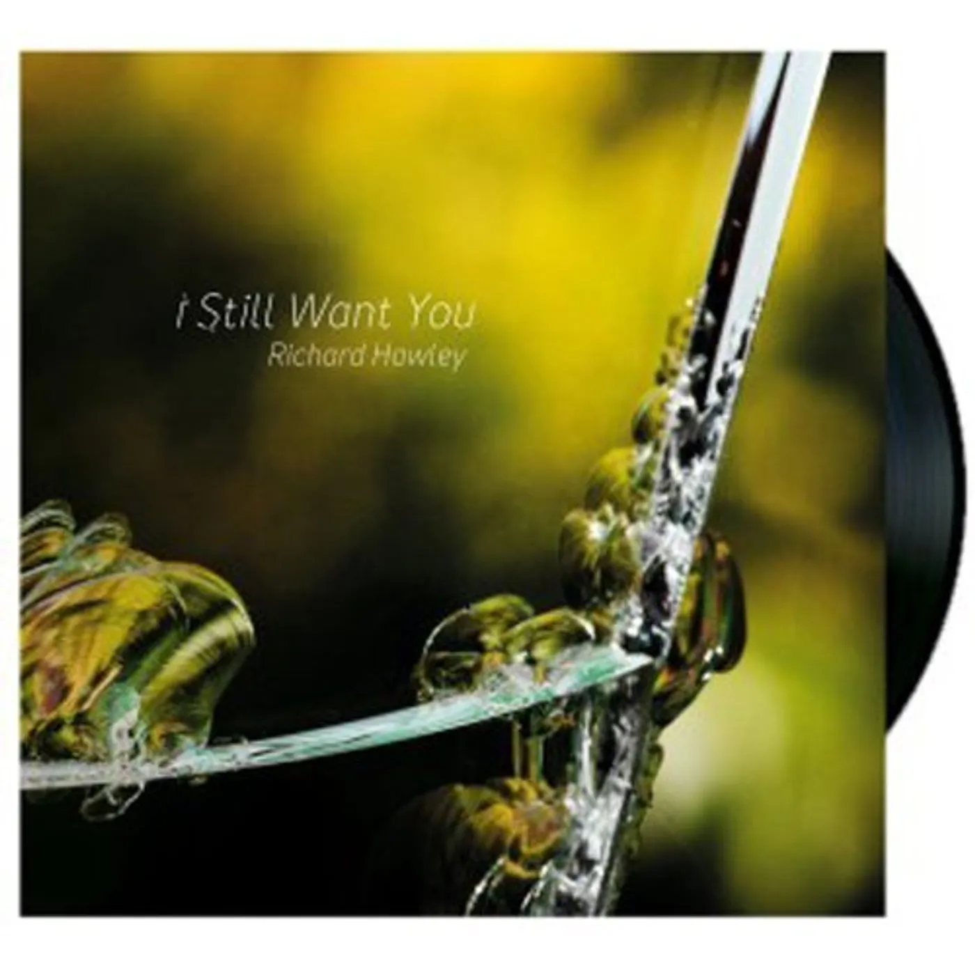 Richard Hawley I Still Want You Vinyl Record