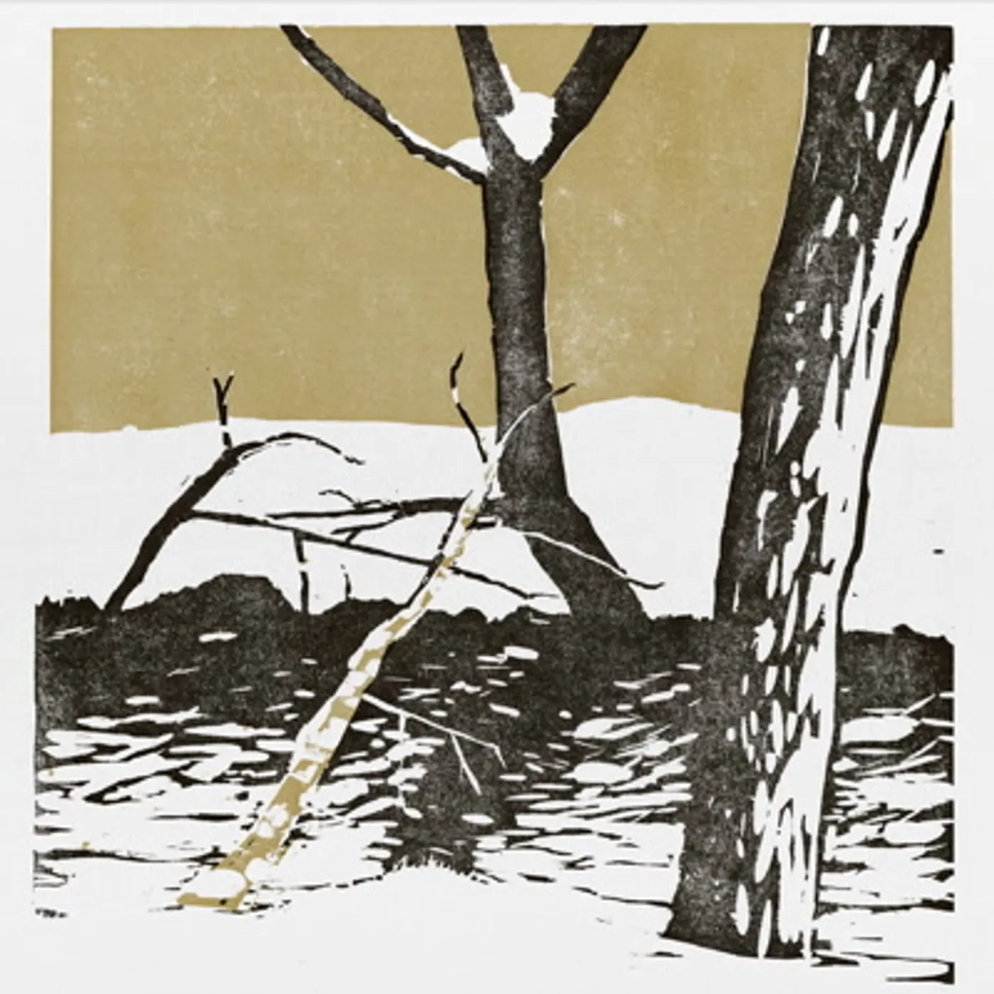 Samoyed Saturday Vinyl Record