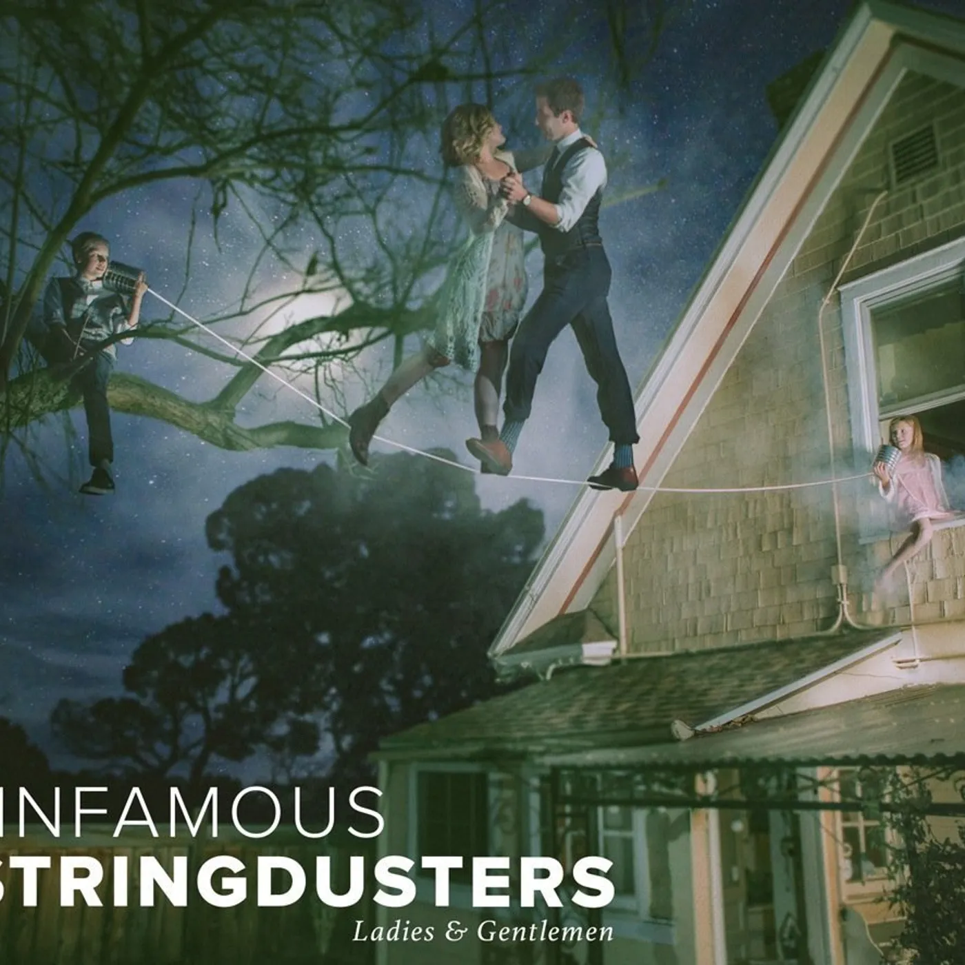 The Infamous Stringdusters Ladies & Gentlemen Vinyl Record