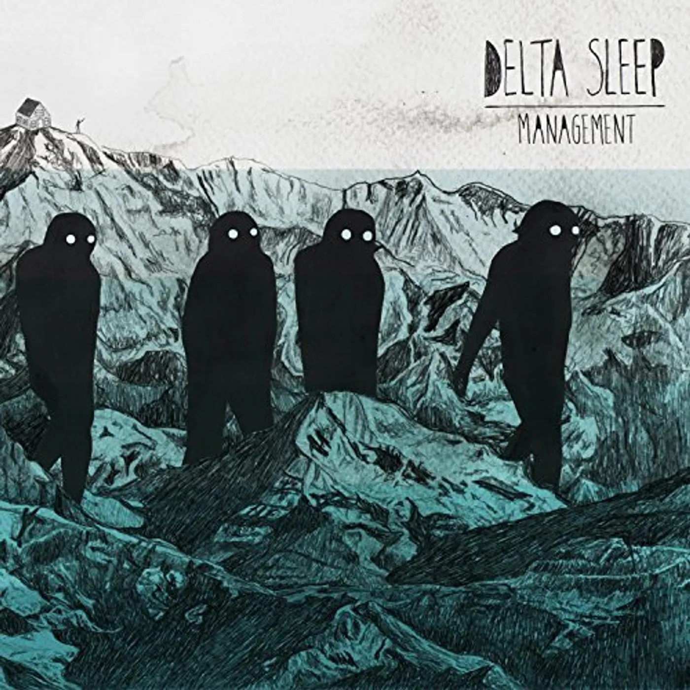 Delta Sleep MANAGEMENT Vinyl Record