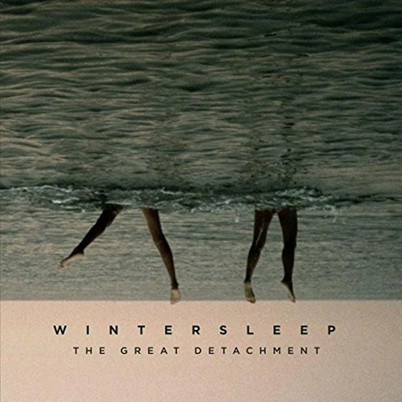 Wintersleep GREAT DETACHMENT Vinyl Record
