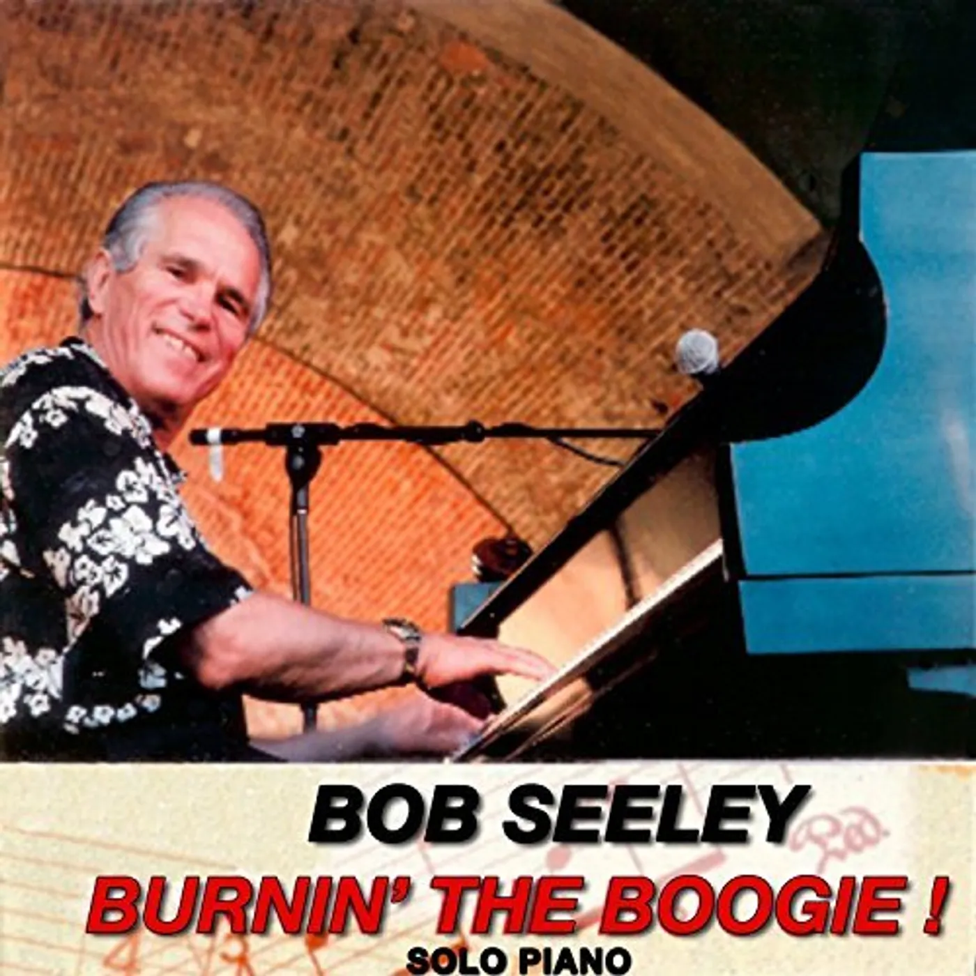Bob Seeley BURNIN THE BOOGIE CD