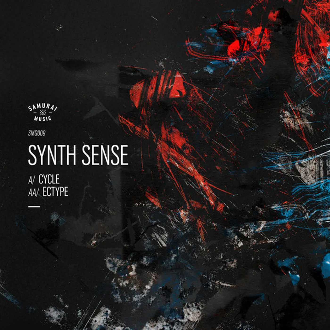 Synth Sense CYCLE / ECTYPE Vinyl Record