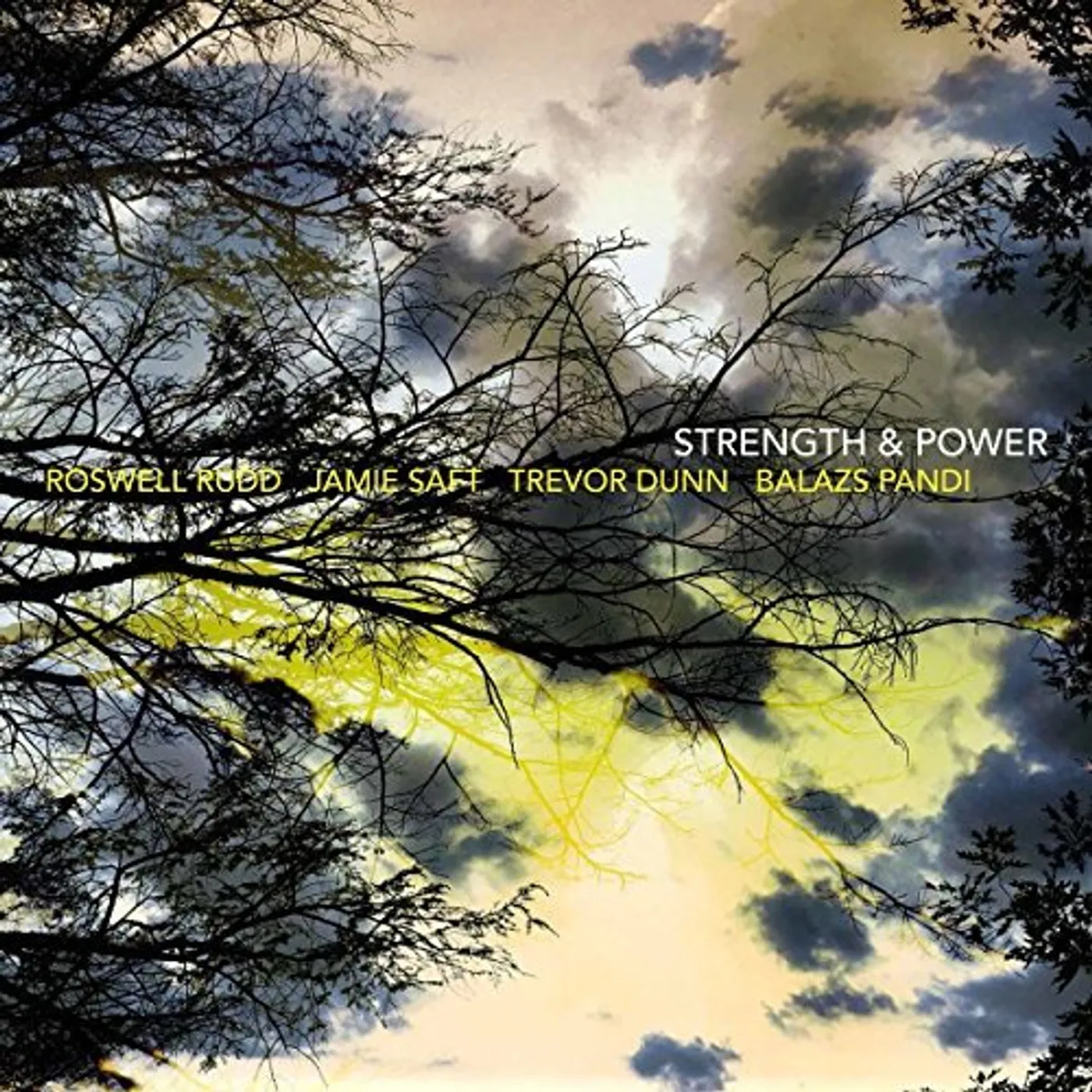 Roswell Rudd Strength & Power Vinyl Record