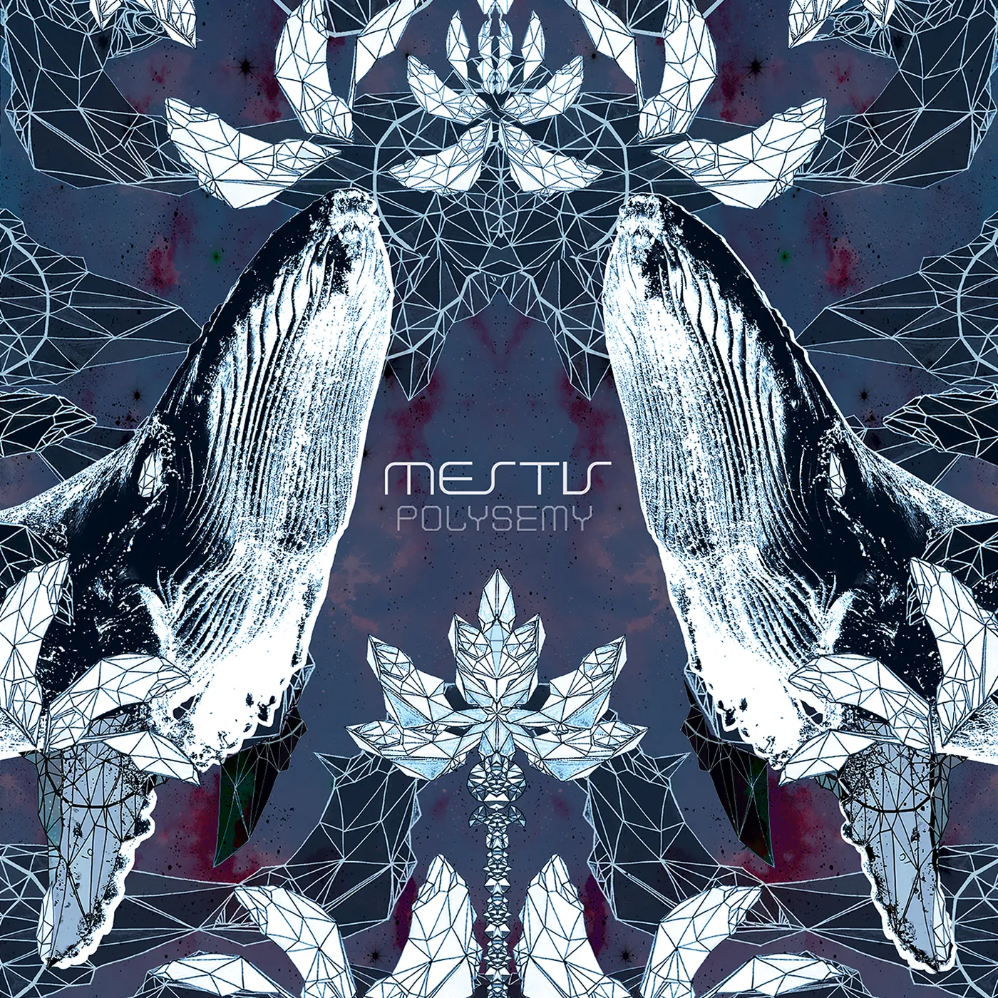 Mestís Polysemy Vinyl Record