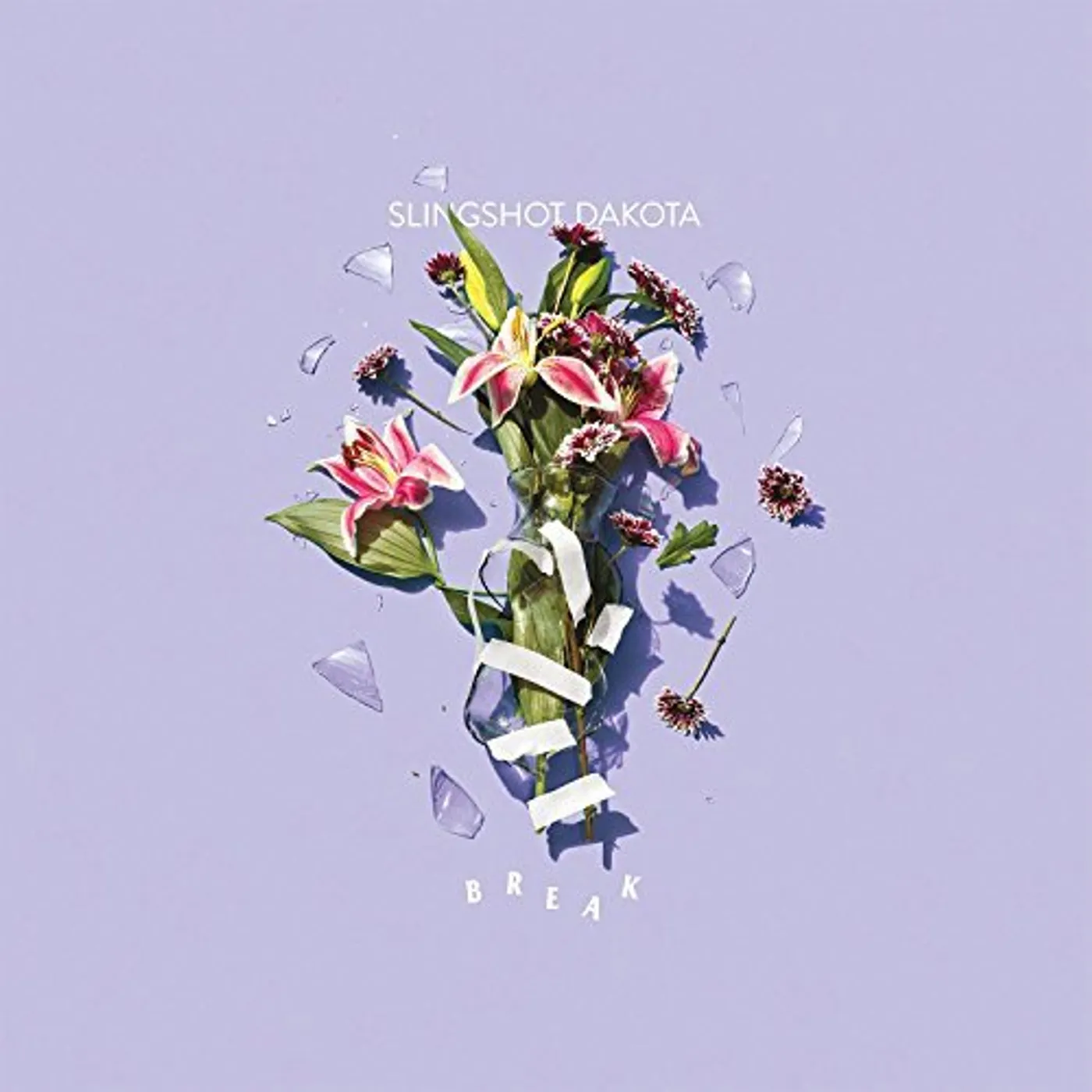 Slingshot Dakota BREAK Vinyl Record