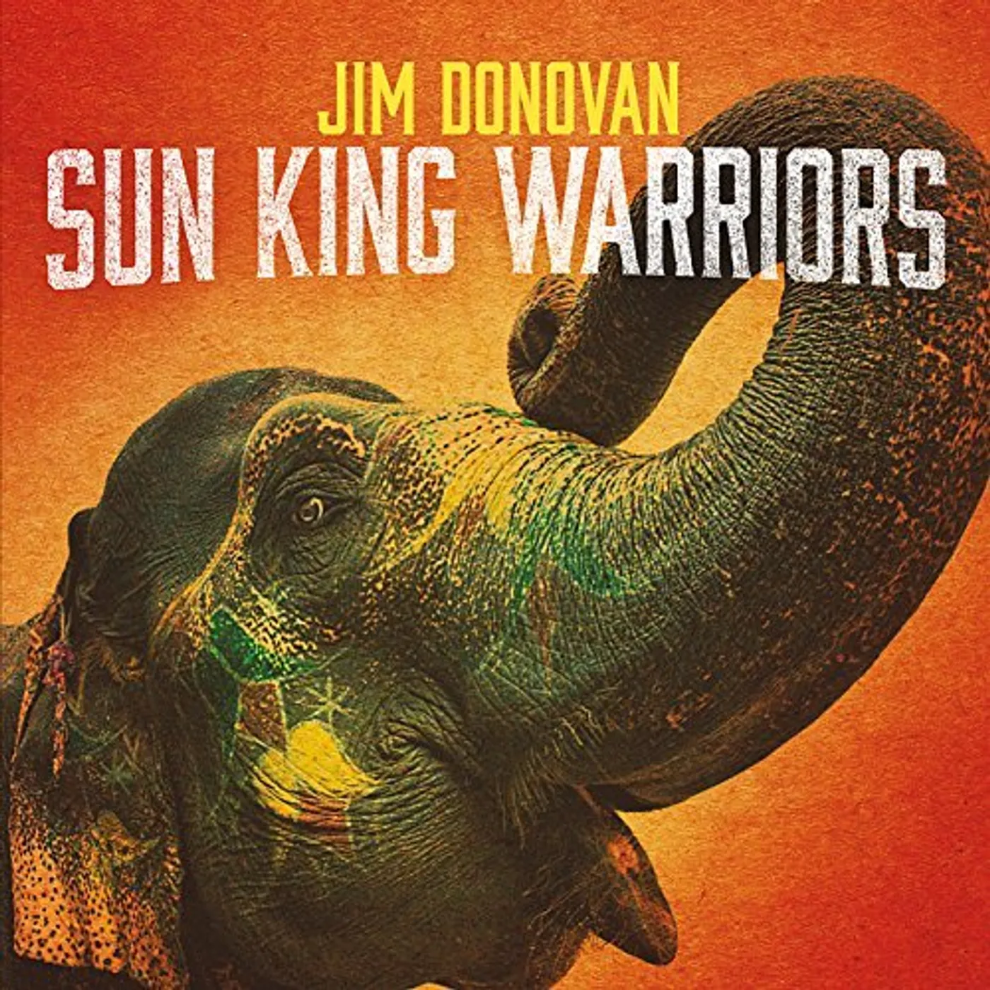 Jim Donovan SUN KING WARRIORS CD