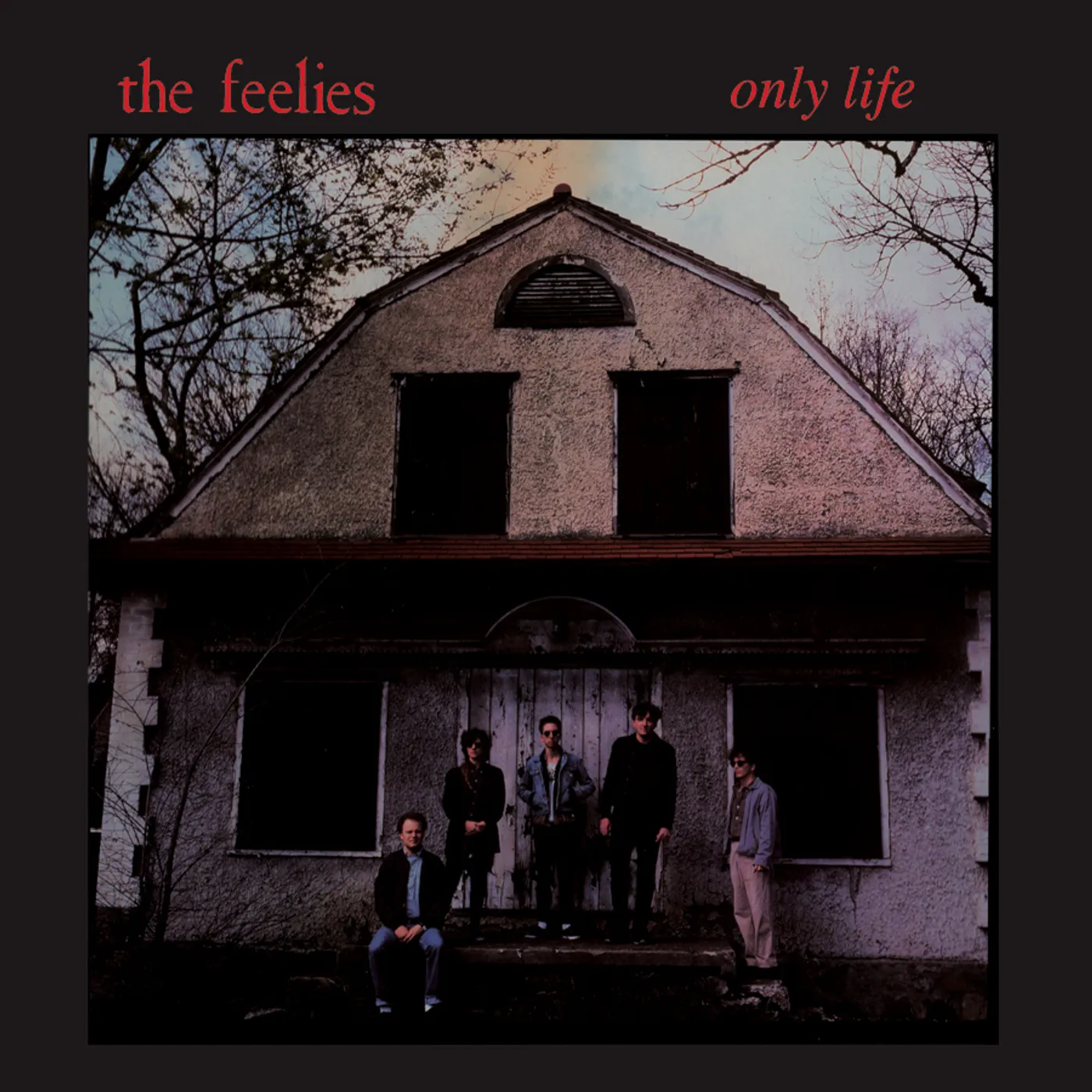 The Feelies Only Life Vinyl Record