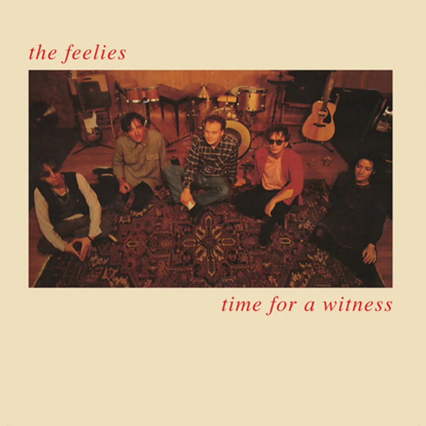 The Feelies Time For A Witness Vinyl Record