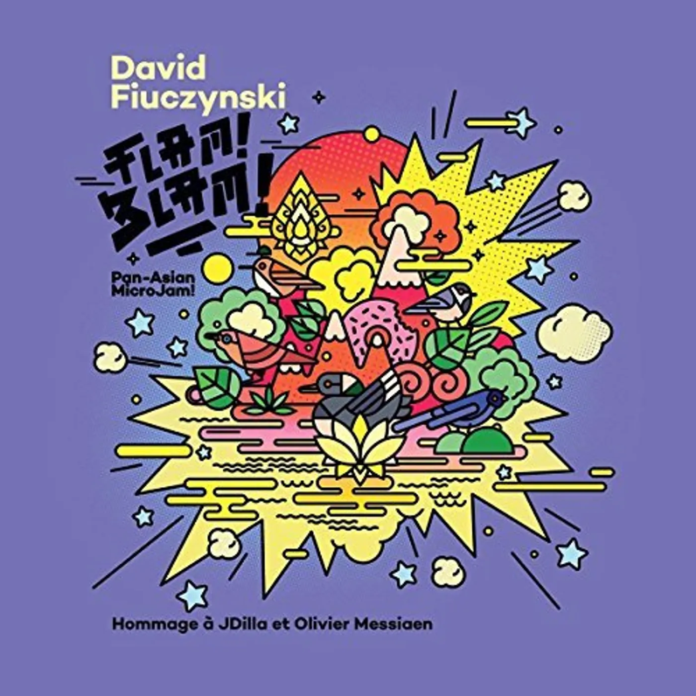 David Fiuczynski FLAM BLAM Vinyl Record