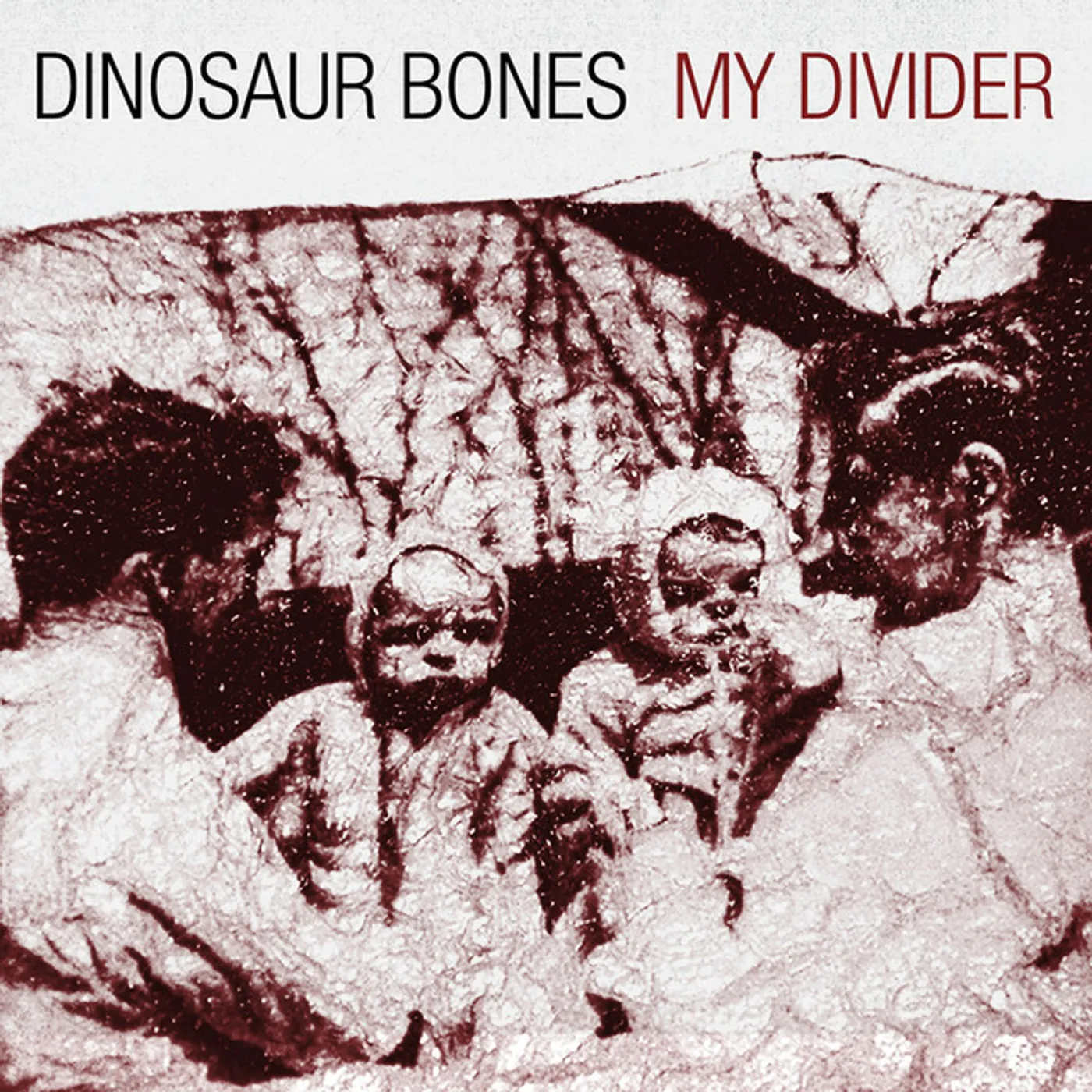 Dinosaur Bones MY DIVIDER (LP) Vinyl Record