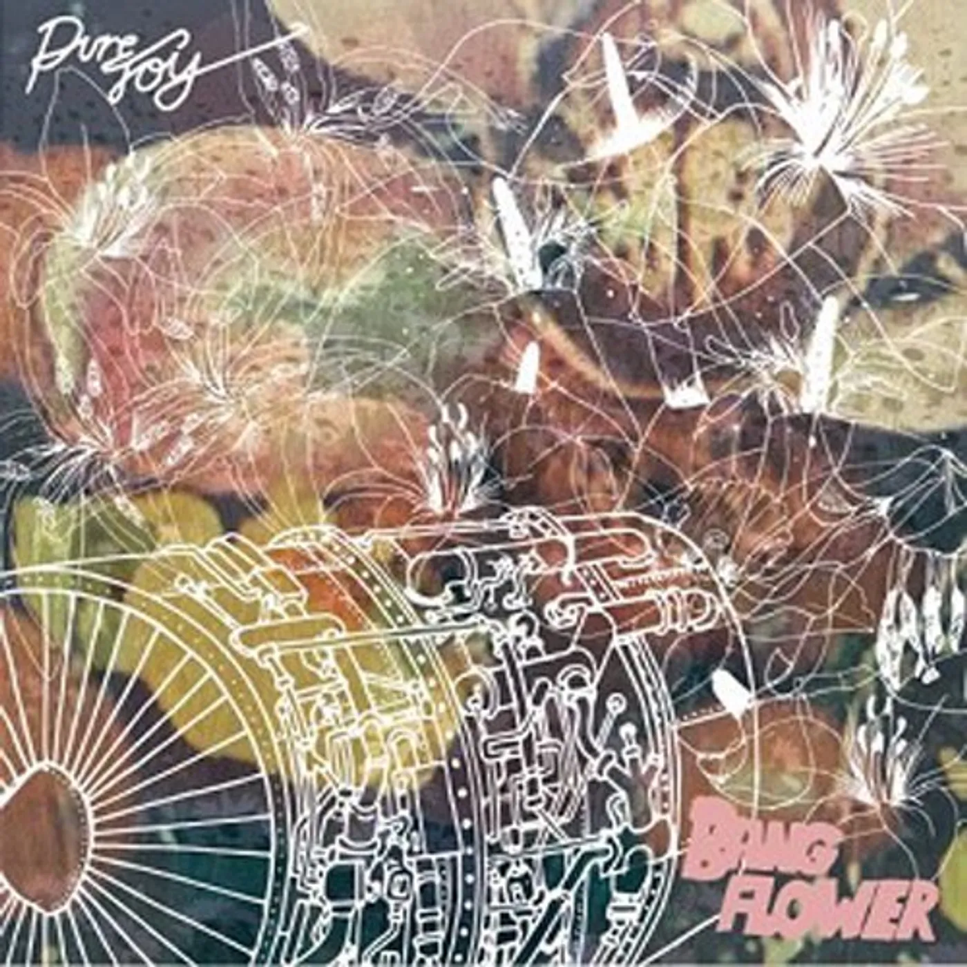 PURE JOY Vinyl Record