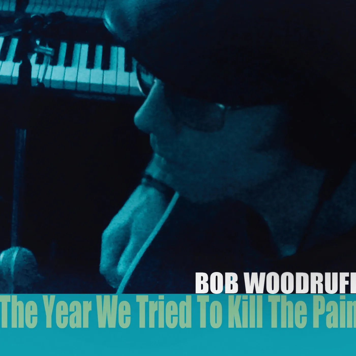 Bob Woodruff YEAR WE TRIED TO KILL THE PAIN CD