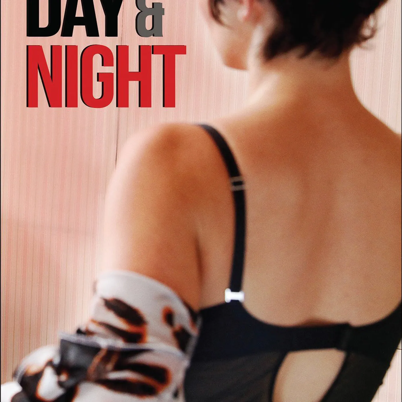 DAY AND NIGHT DVD