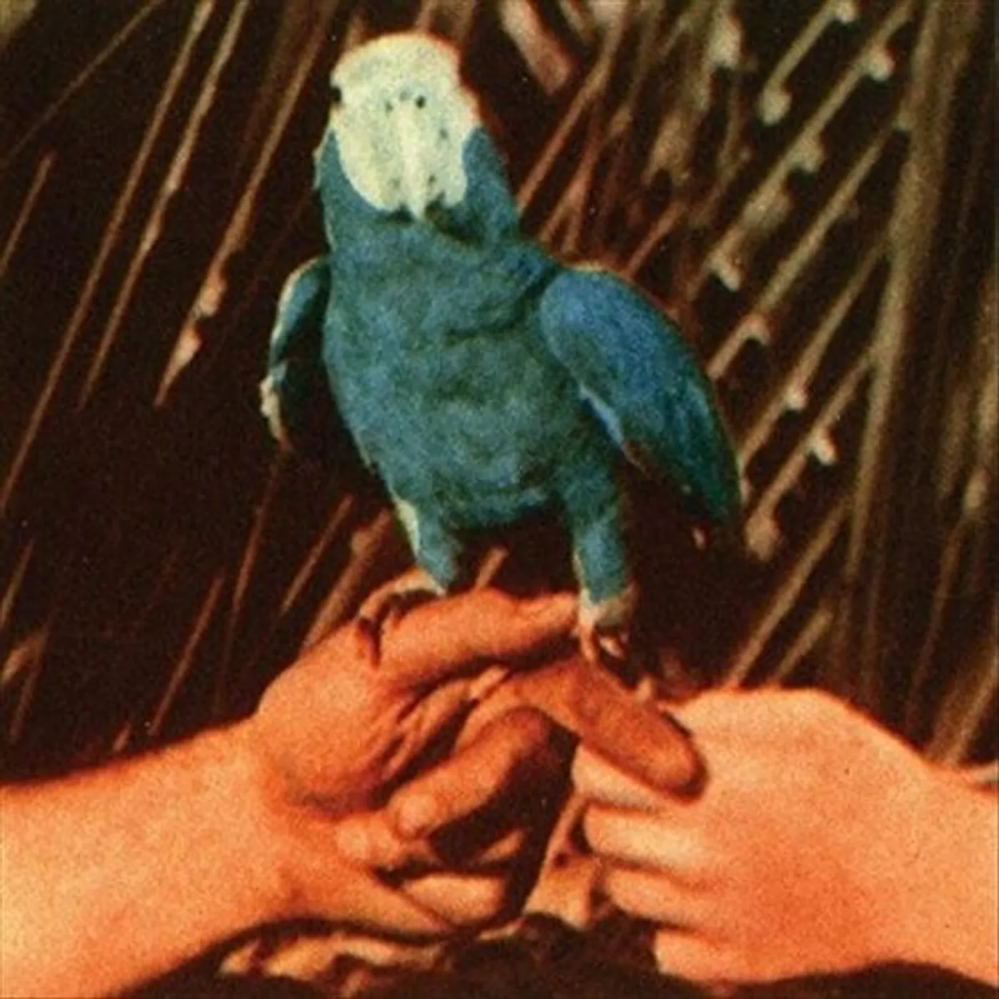 Andrew Bird ARE YOU SERIOUS CD