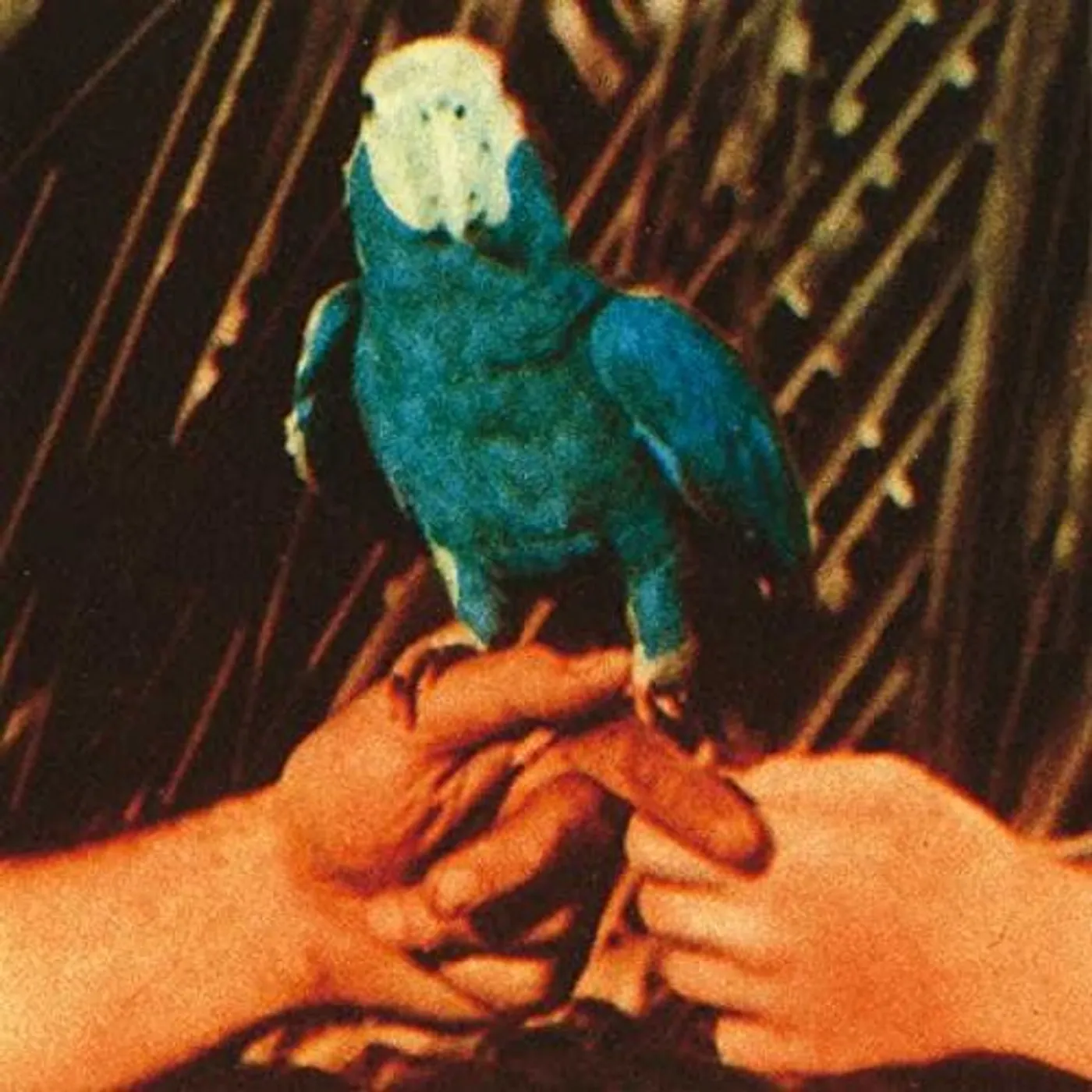 Andrew Bird Are You Serious Vinyl Record