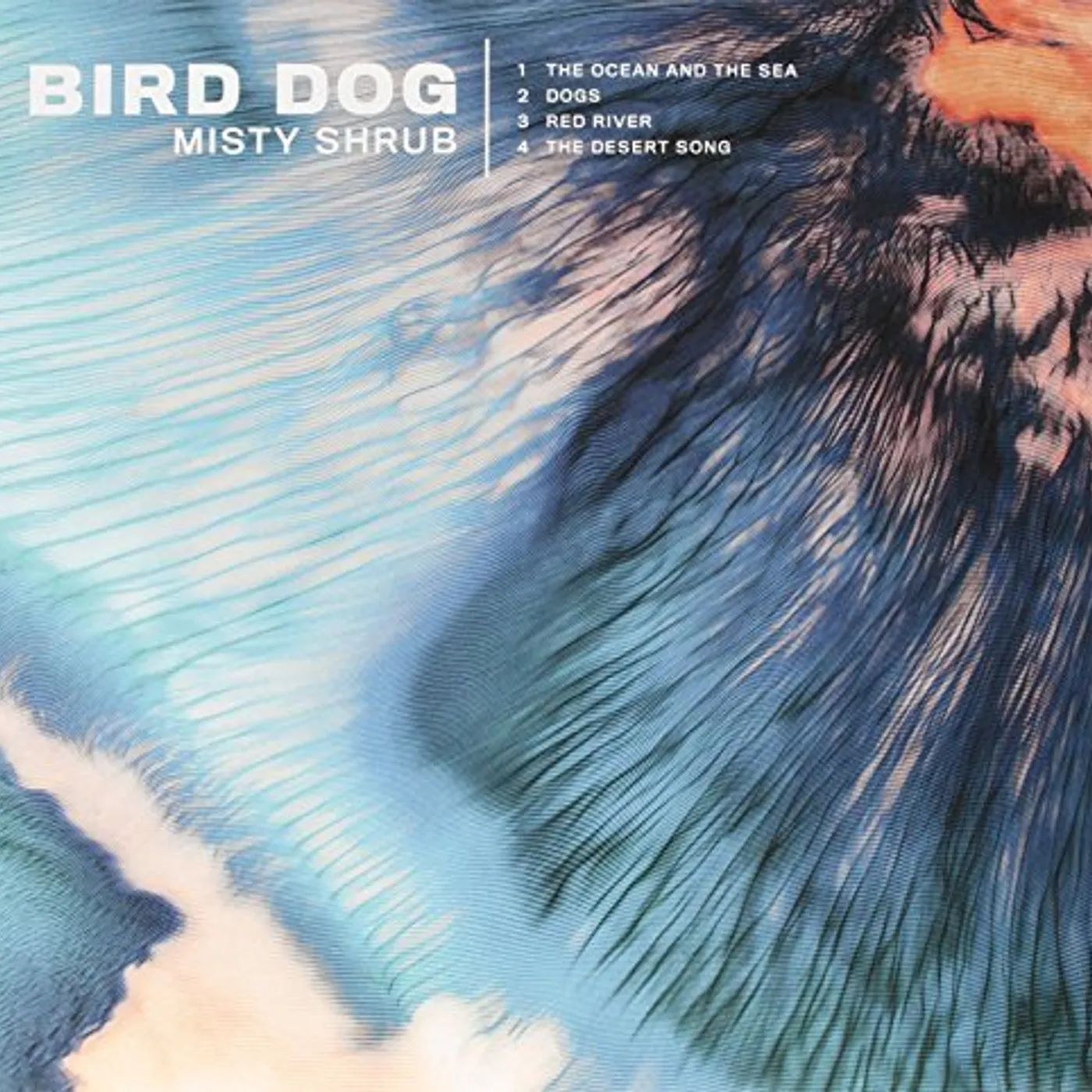 Bird Dog MISTY SHRUB Vinyl Record