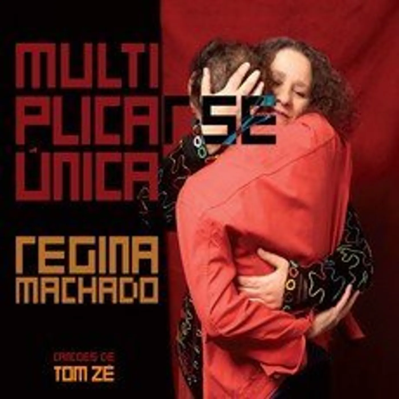 Regina Machado MULTIPLICAR-SE UNICA CD
