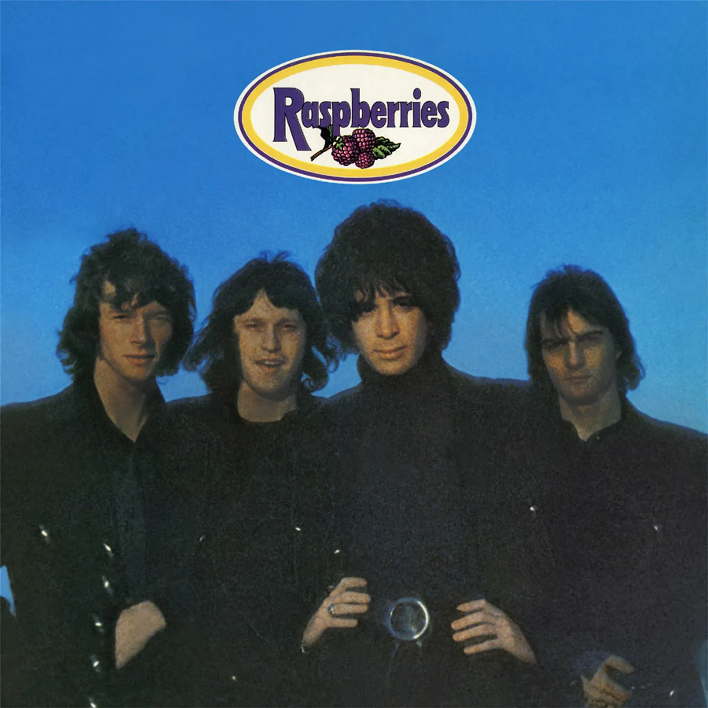 Raspberries Vinyl Record
