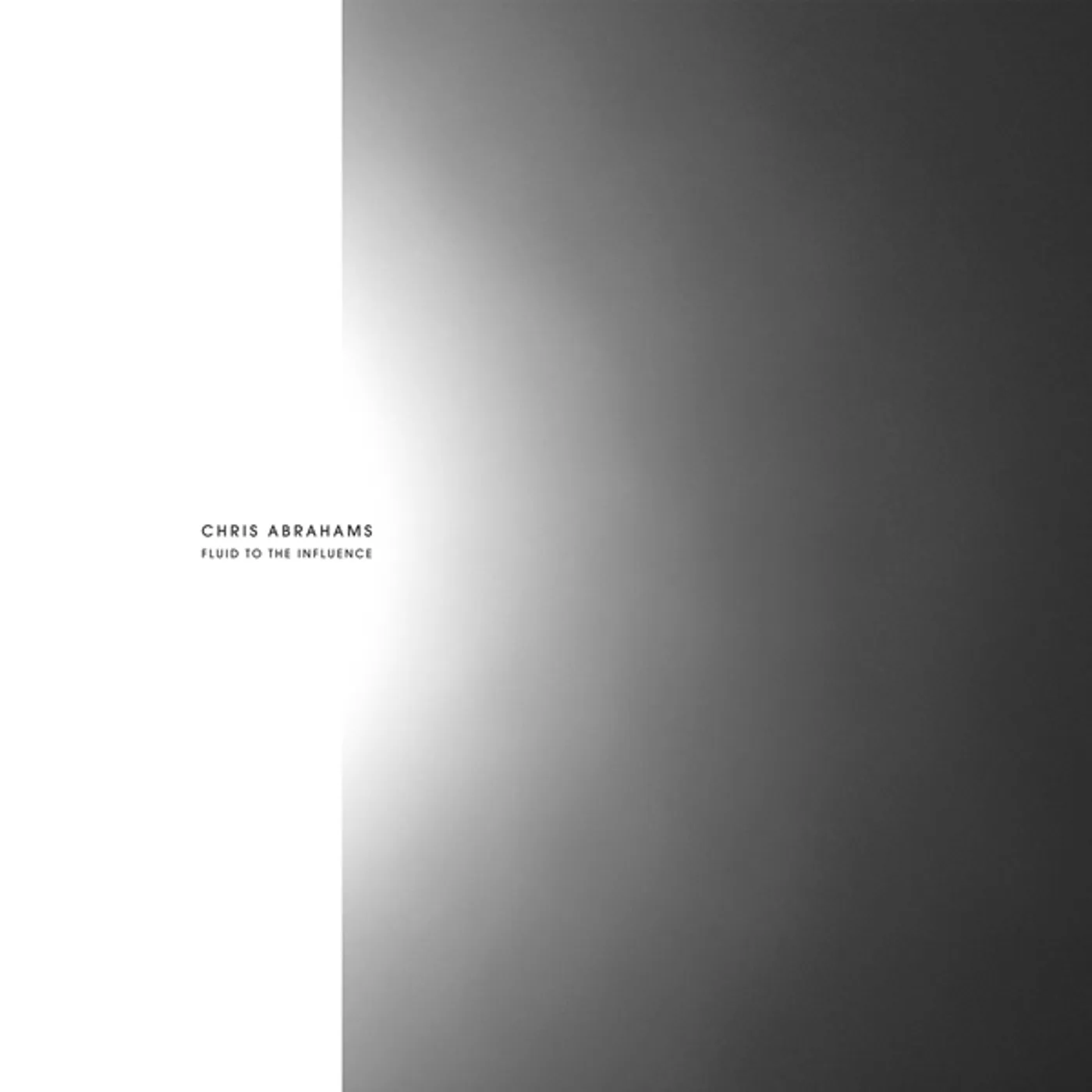 Chris Abrahams FLUID TO THE INFLUENCE CD