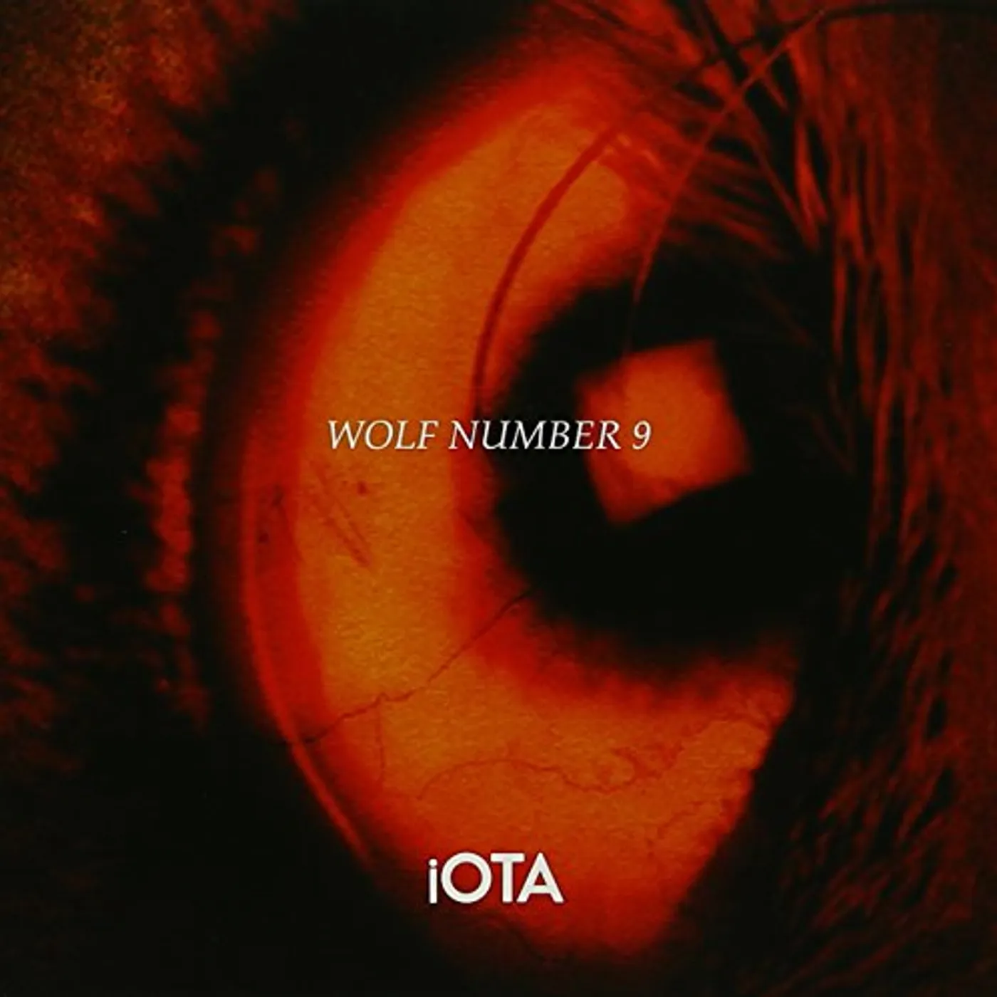 iOTA WOLF NUMBER 9 CD