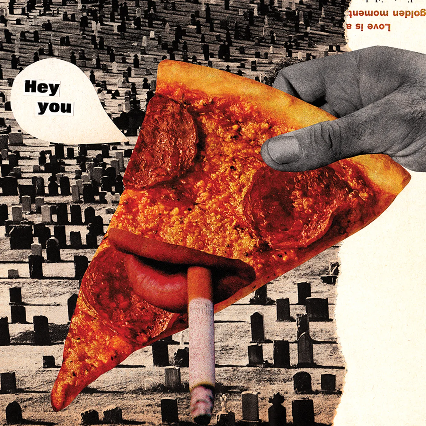 The Thermals Hey You / White Rabbit Vinyl Record