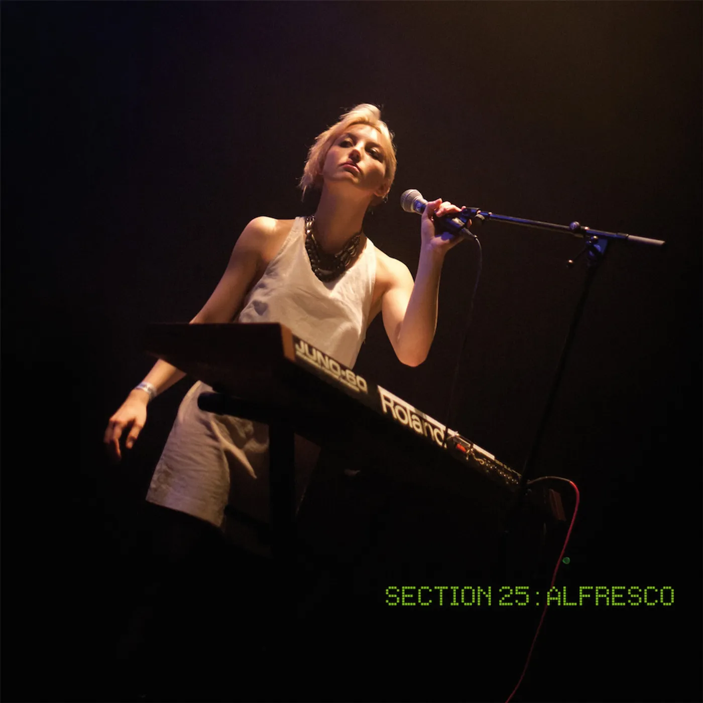 Section 25 Alfresco Vinyl Record