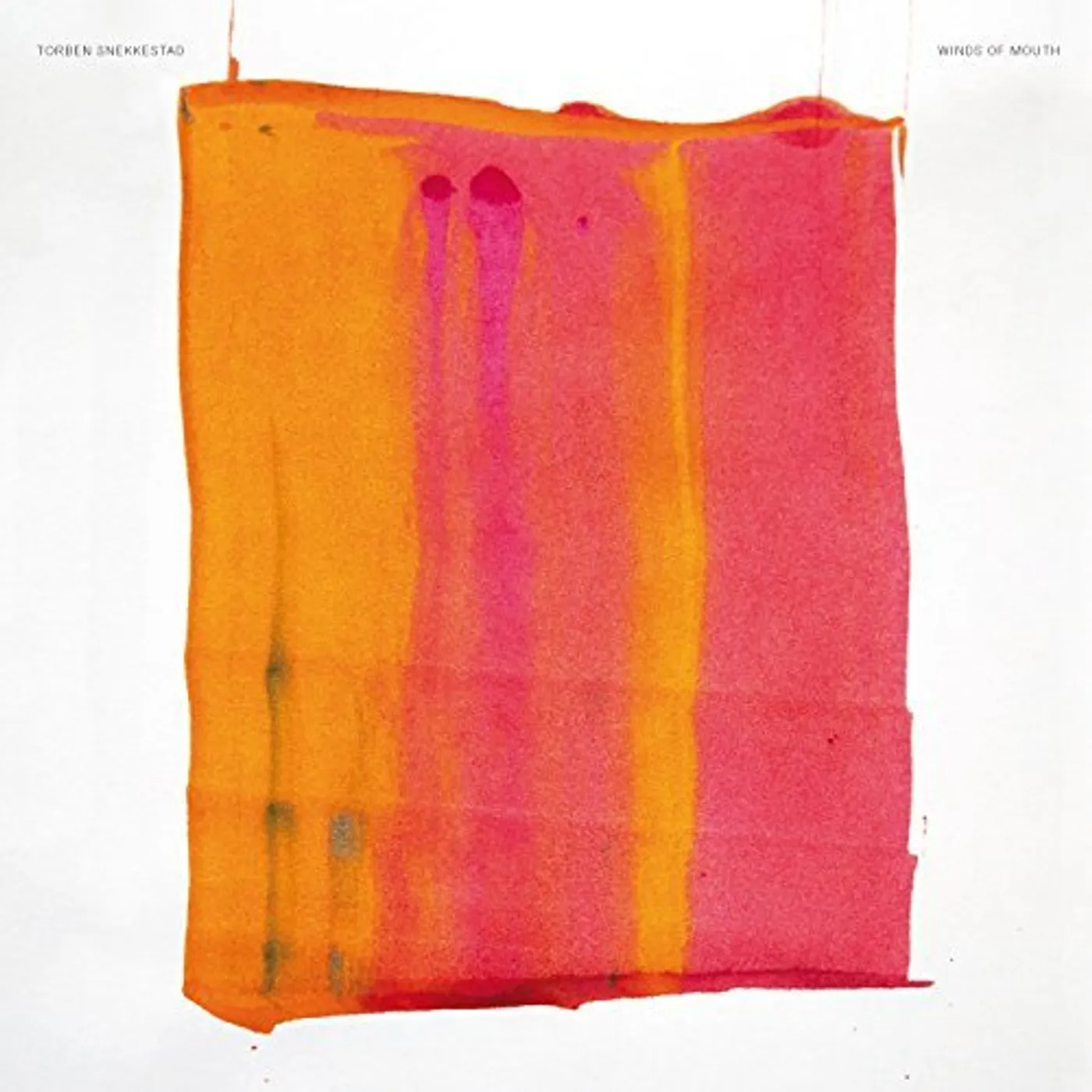 Torben Snekkestad WINDS OF MOUTH CD
