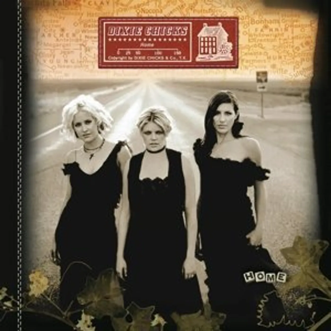 The Chicks Home Vinyl Record