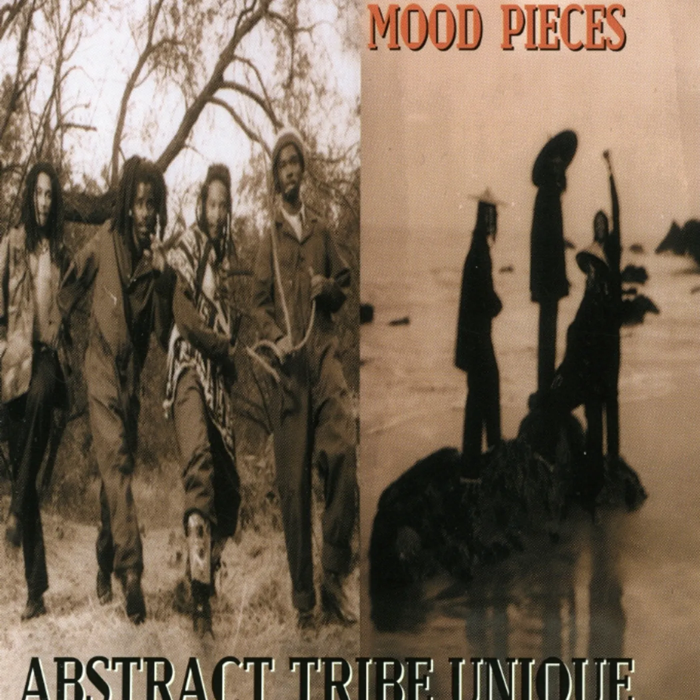 Abstract Tribe Unique MOOD PIECES CD
