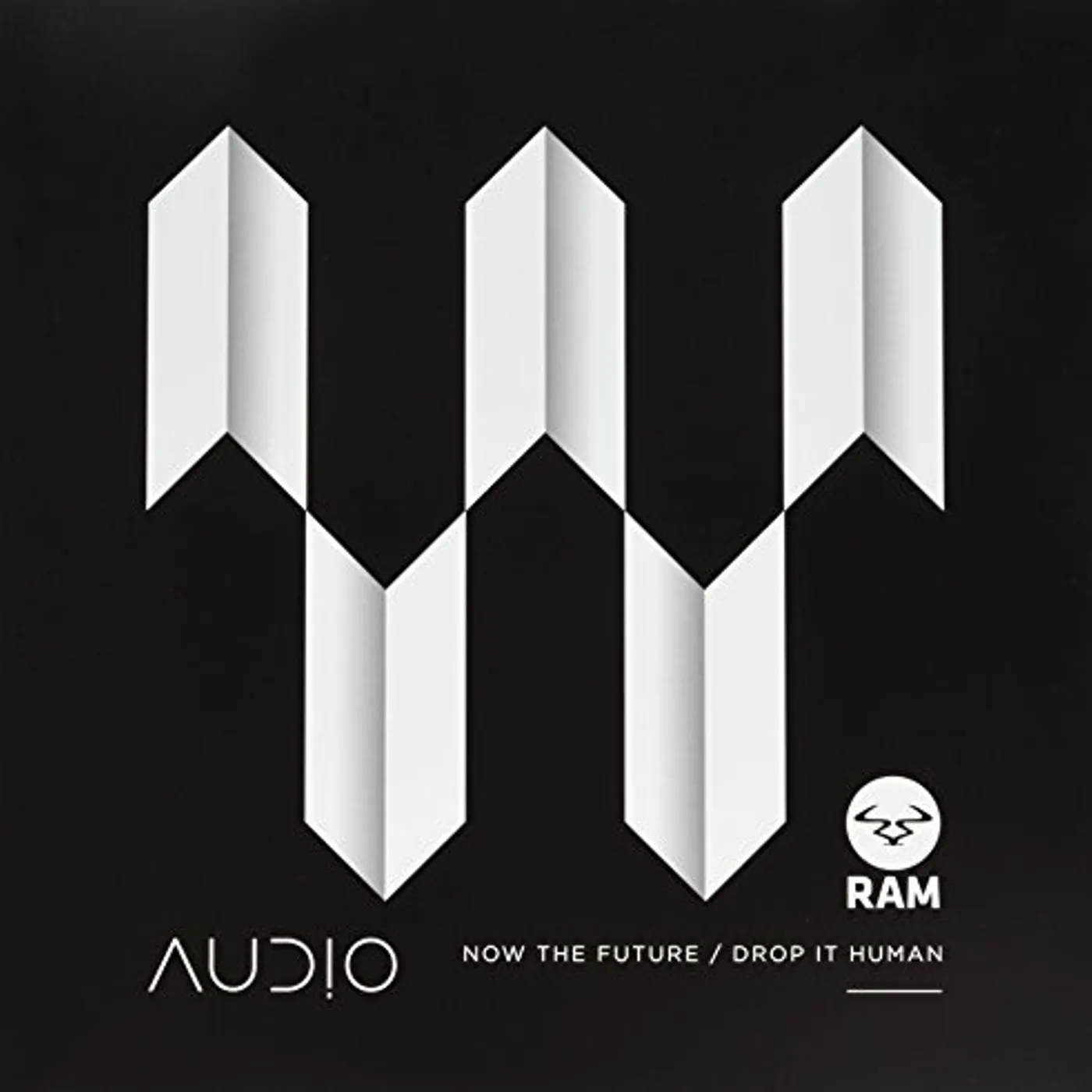 Audio Now the Future / Drop It Human Vinyl Record