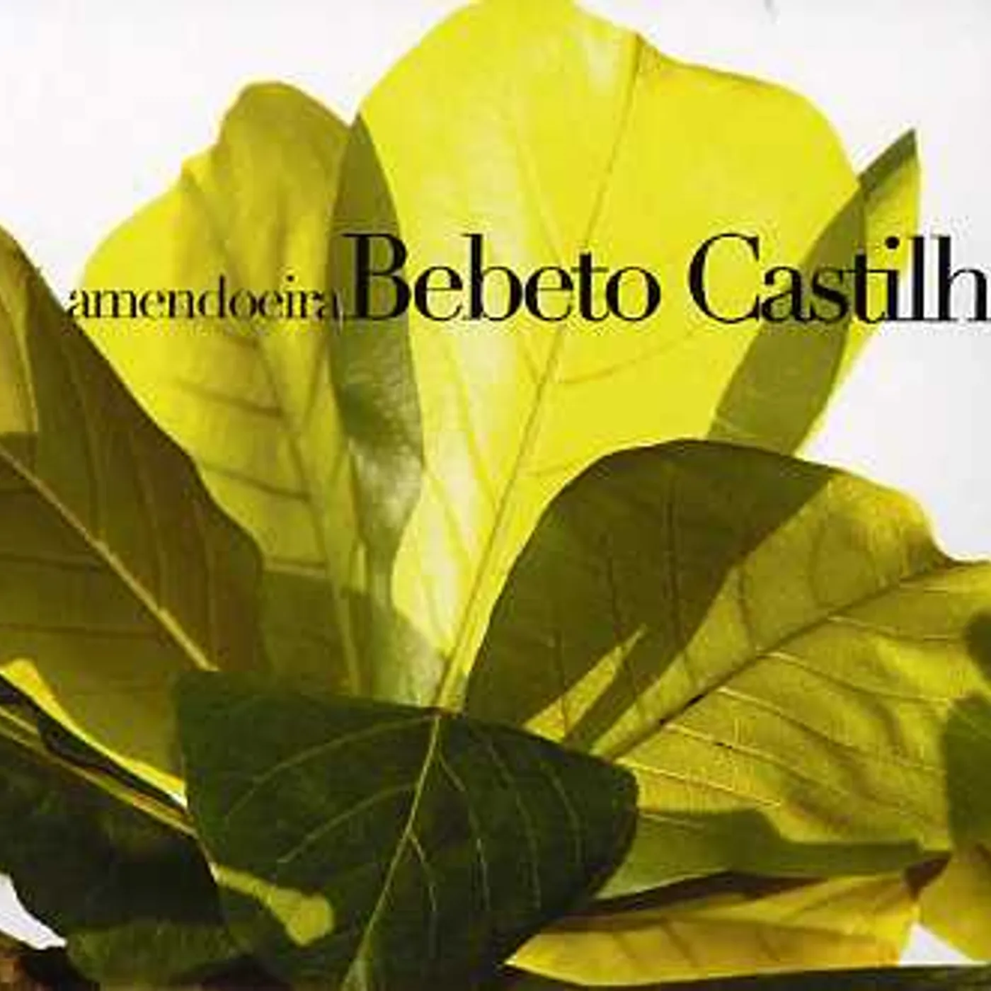 Bebeto Castilho AMENDOEIRA CD