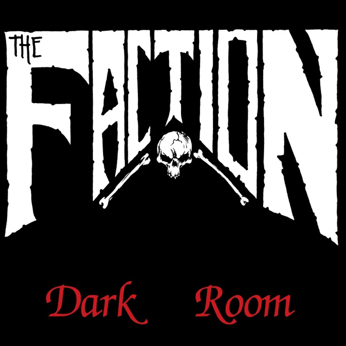 Faction Dark Room Vinyl Record
