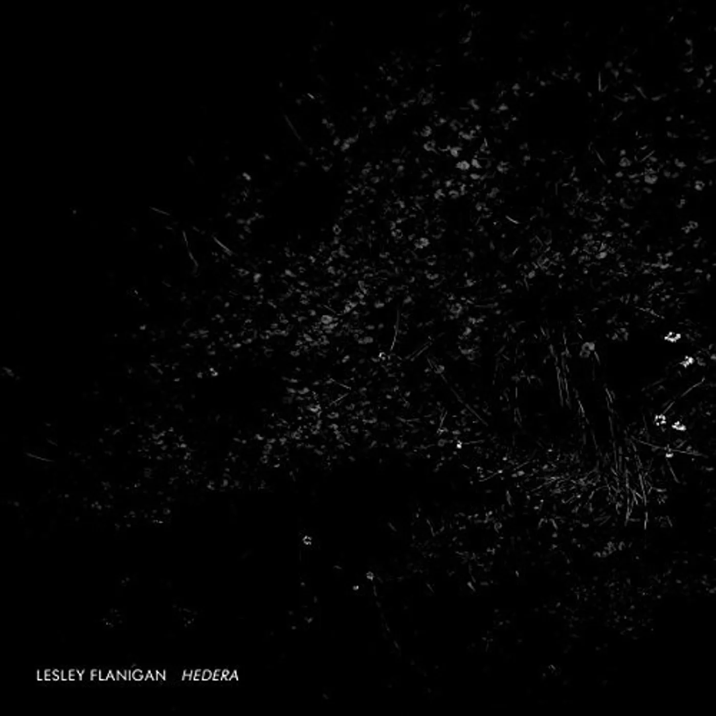 Lesley Flanigan HEDERA CD