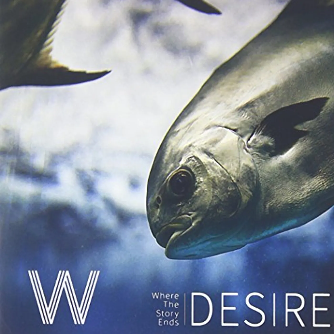 W DESIRE CD