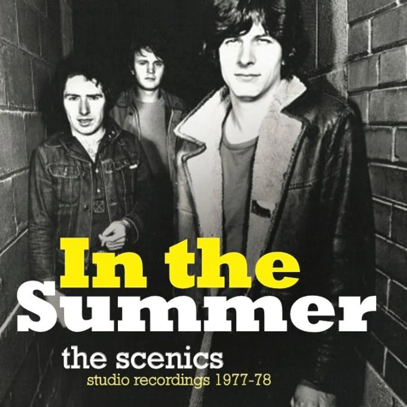 The Scenics IN THE SUMMER: STUDIO RECORDINGS 1977/78 CD