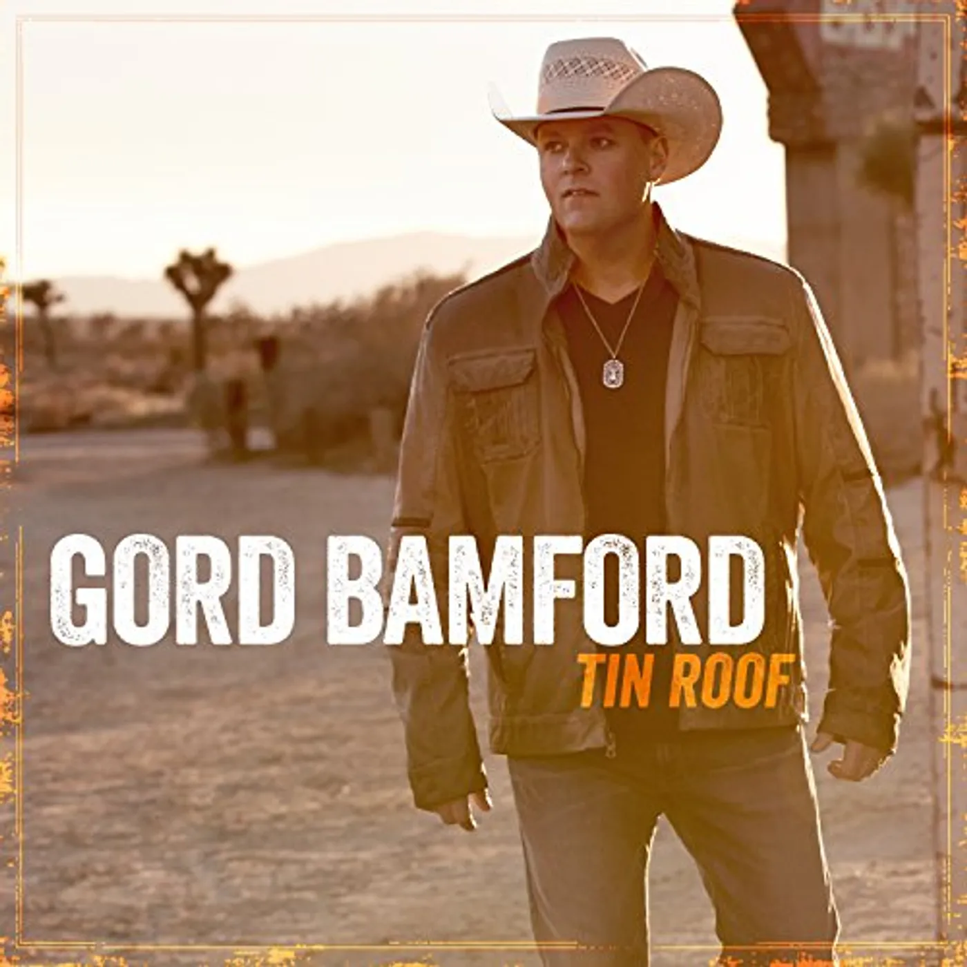 Gord Bamford TIN ROOF CD