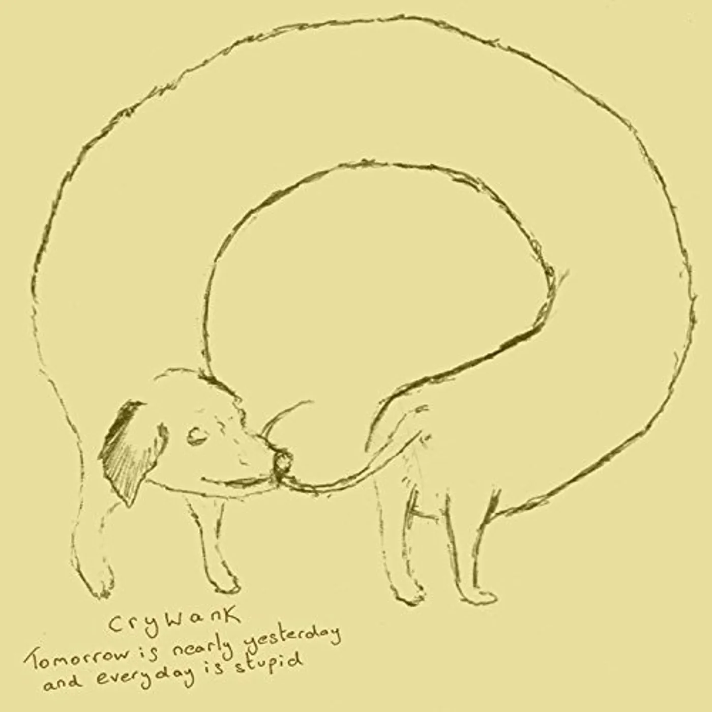 Crywank Tomorrow Is Nearly Yesterday and Everyday Is Stupid Vinyl Record