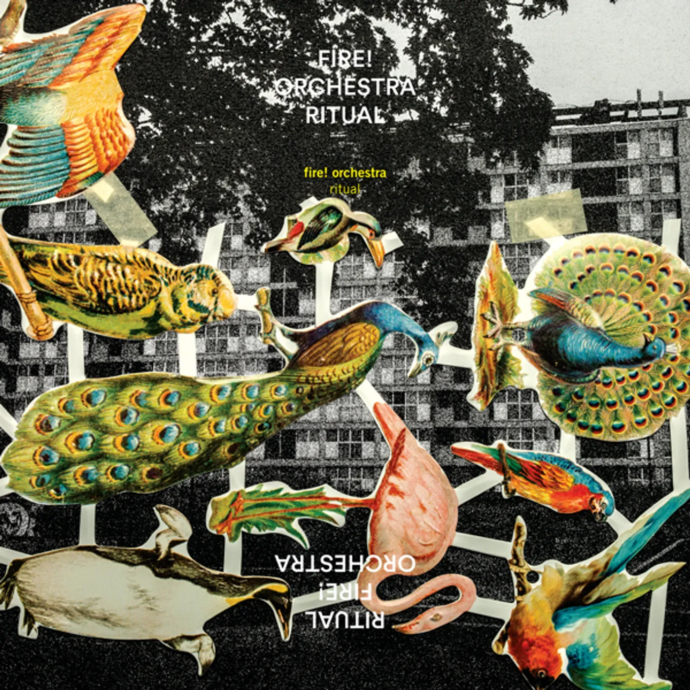 Fire! Orchestra RITUAL CD