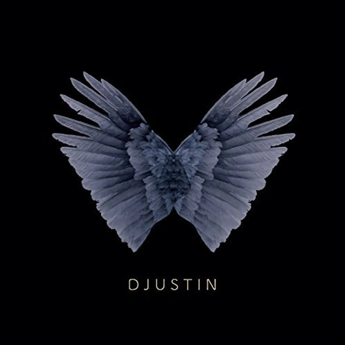 Djustin Tryst Vinyl Record