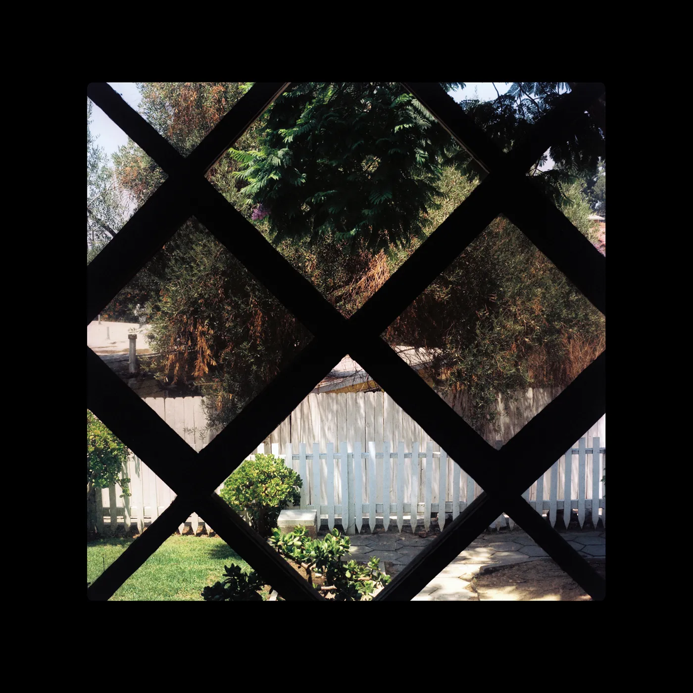 Psychic Temple III Vinyl Record