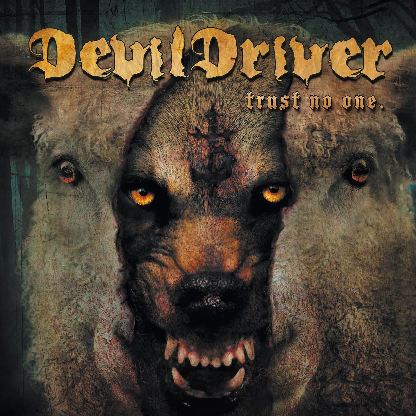 DevilDriver Trust No One Vinyl Record