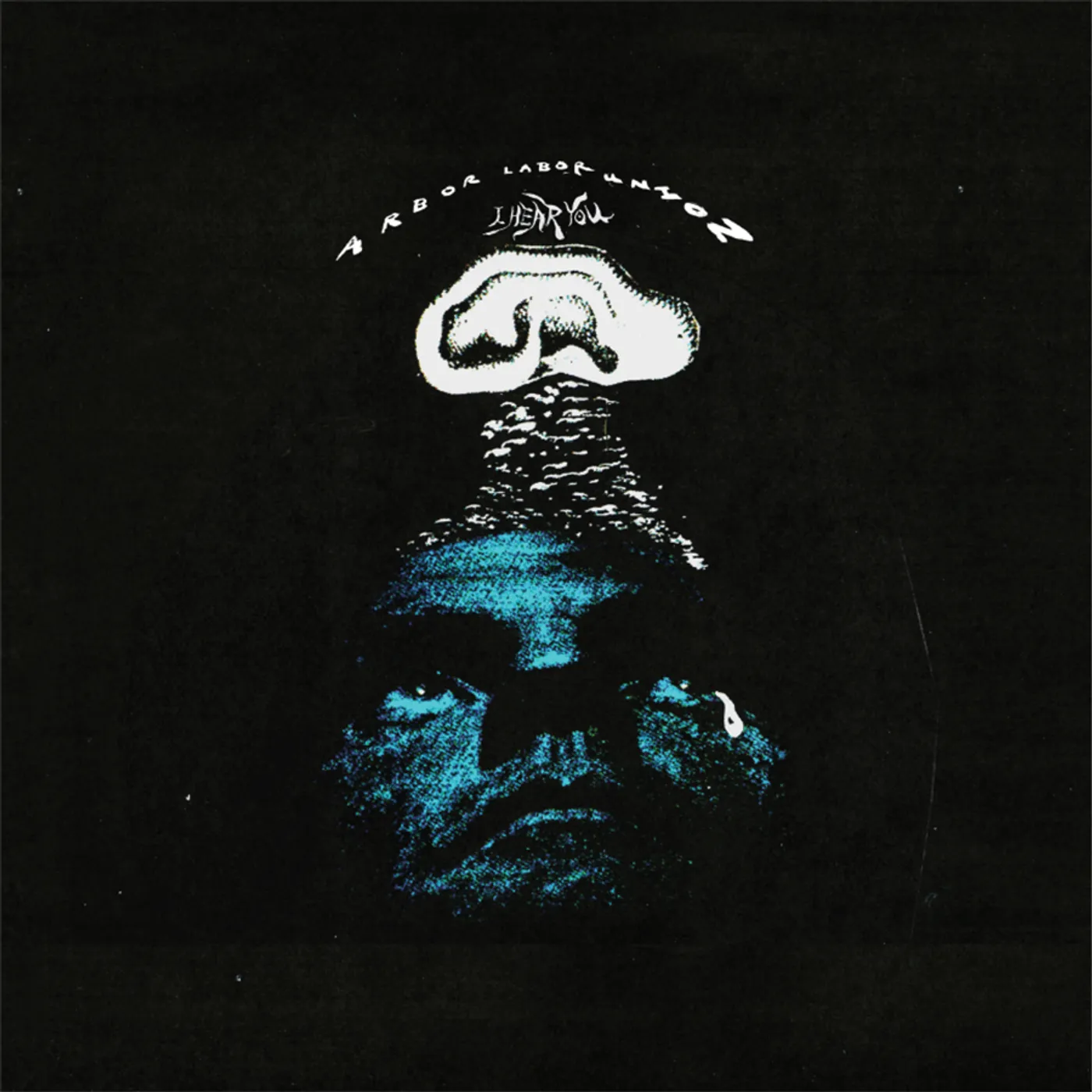 Arbor Labor Union I Hear You Vinyl Record
