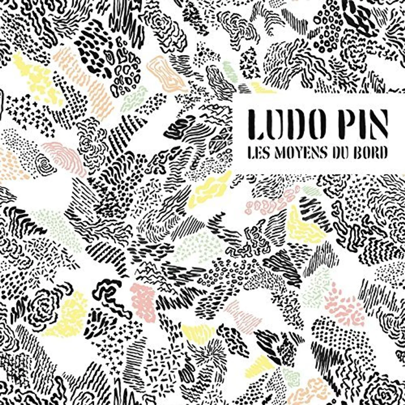 Ludo Pin LES MOYENS DU BORD CD
