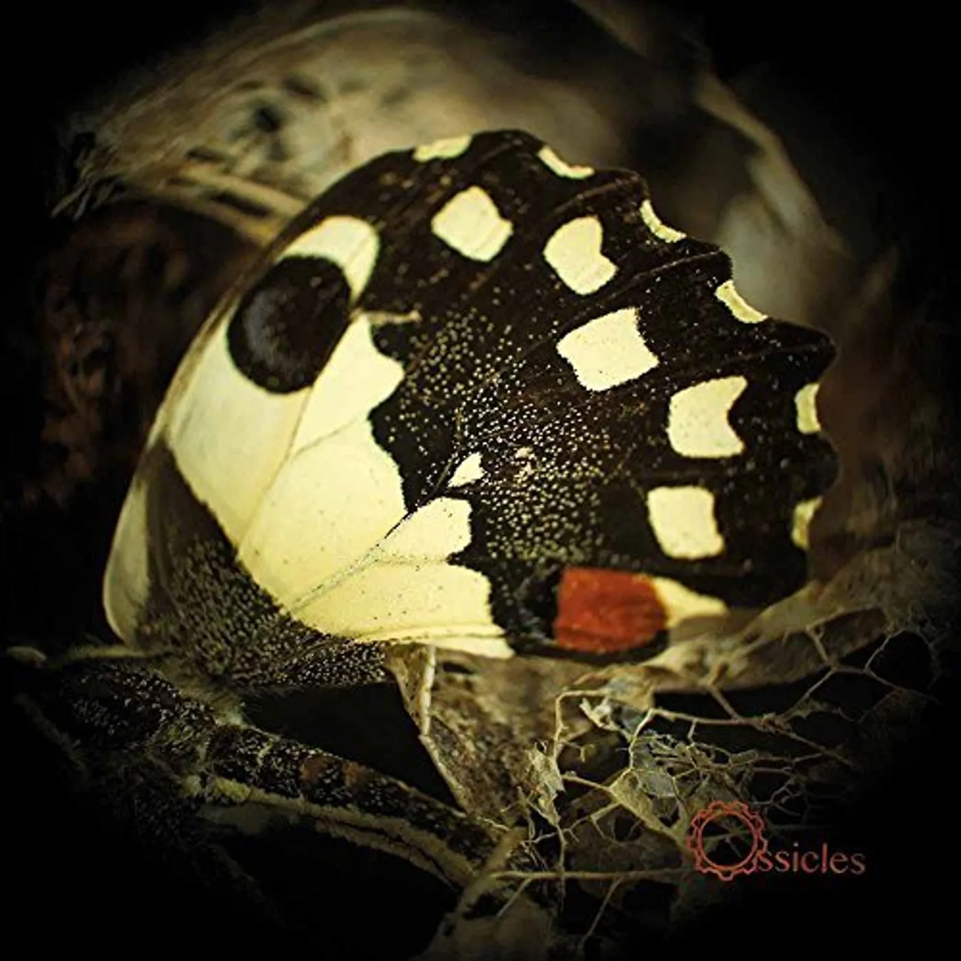 Ossicles MUSIC FOR WASTELANDS CD