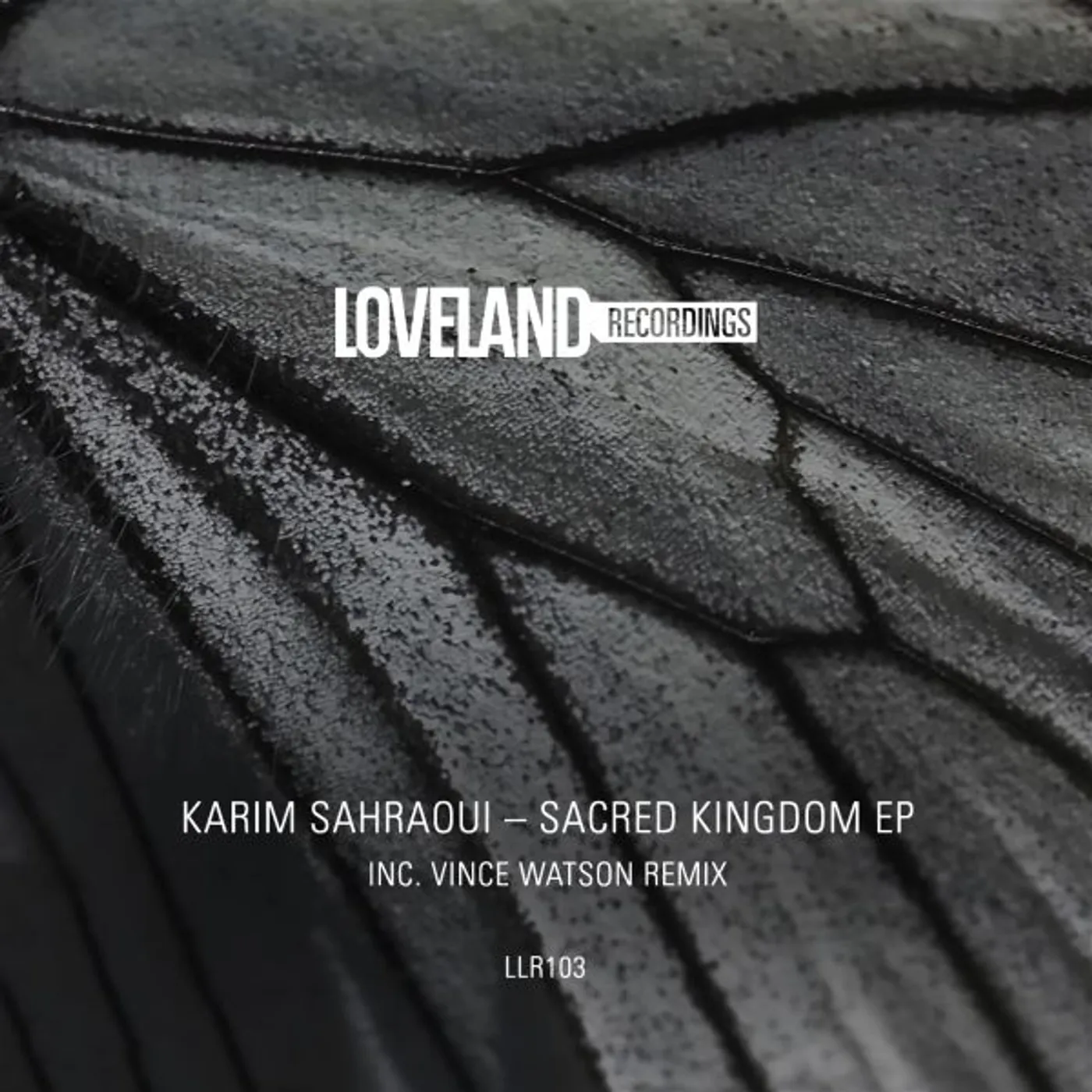 Karim Sahraoui SACRED KINGDOM Vinyl Record